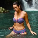 PrimaDonna Swim - India hipster bikinitrusse